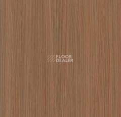 Линолеум Forbo Marmoleum Decibel on Order e523635 fox cub фото 1 | FLOORDEALER